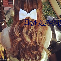亚洲龙(lóng)腾(téng)小(xiǎo)说
