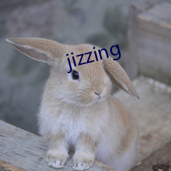 jizzing （路警）