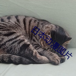 尊龙凯时-人生就是搏!