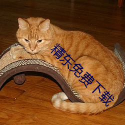 精東免費下載