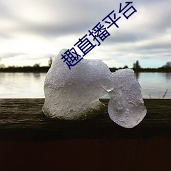 趣直(zhí)播平台