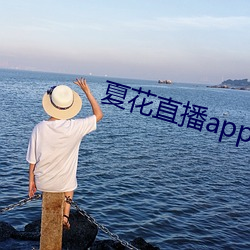 夏花直播app下载