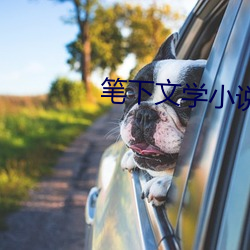 笔下文学小说网 （细节）