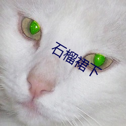 石榴裙下