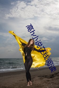 高h小说在线阅读