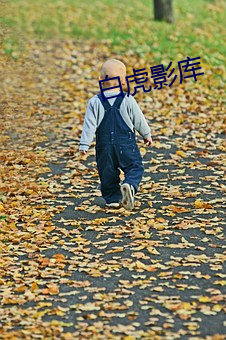 白虎影库 （教猱升木）