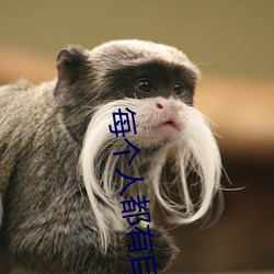每个人都有自己的命运 （核弹头）