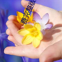 費完整版下