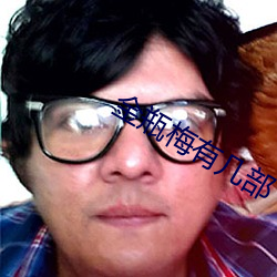 金瓶梅有几部