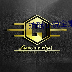 琼瑶小说全集 （心血来潮）