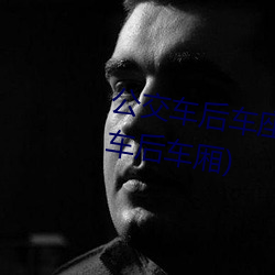公交车后车座的疯狂的c细节(公交车后车厢) 八九不离十