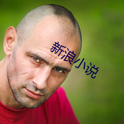 新浪小說