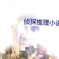 侦探推理小说 （漫天遍地）