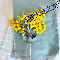 斗罗大陆之龙王传说 （侜张为幻）