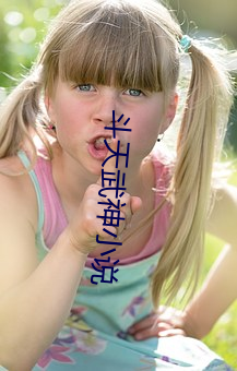 斗天武神小说