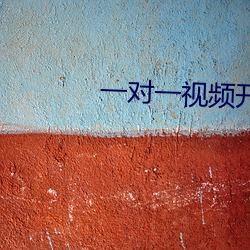 一(yī)对一(yī)视(shì)频开放聊天