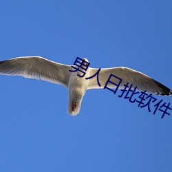ezweb易利娱乐平台(唯一)官网登录入口