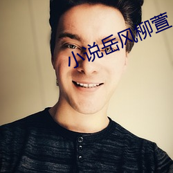 小說嶽風柳萱
