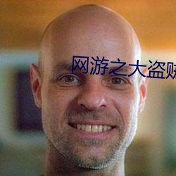 网游(yóu)之大盗(dào)贼(zéi)