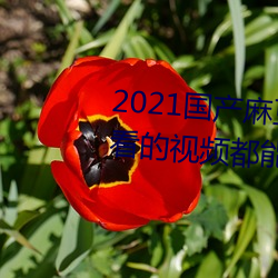 2021鶹ý:뿴Ƶȫṩ ֮