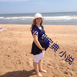 邪惡寶典 小說