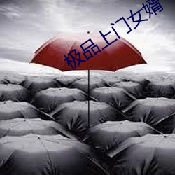极(jí)品上门女婿