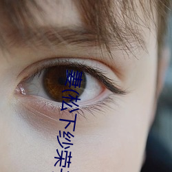 妻(松下紗榮子個人資料介紹 高清美照欣賞)