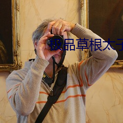 極品草根太子