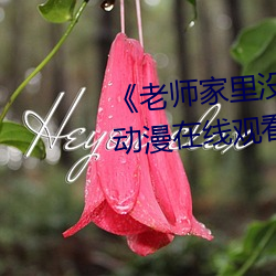 《老师家里没(沒)人(人)你用(用)点(點)力好好快》动(動)漫在(在)线观看