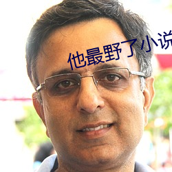 他最野了小说免费阅读