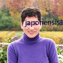 japonensis护士