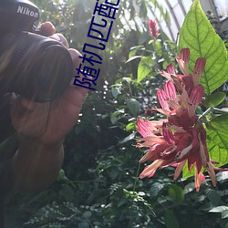 随机匹配聊天的网站