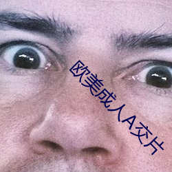欧美成人A交片