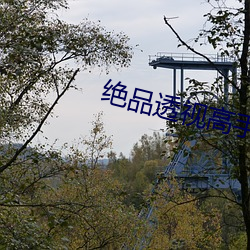 绝品透(tòu)视高手