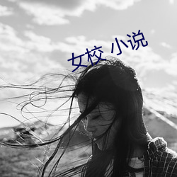 女(女)校 小说(說)