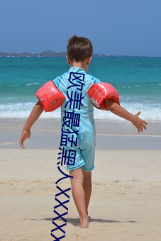 欧美最(最)猛(猛)黑人XXXXX猛交(交)多人