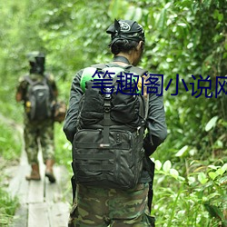 笔(筆)趣阁小说网