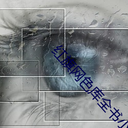 红旗网色库全书小说