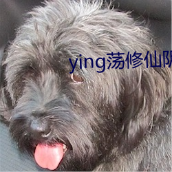 ying蕩修仙陰陽合體