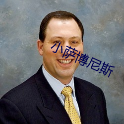 小萨博尼斯 （头会箕敛）