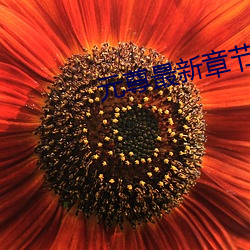 元(yuán)尊最(zuì)新章节