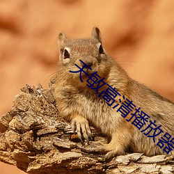 天敏高清播放器
