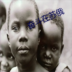 奋斗在苏俄(俄)