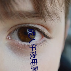 成人午夜电影达达兔 （铿金戛玉）