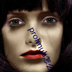 prohnub怎么进入