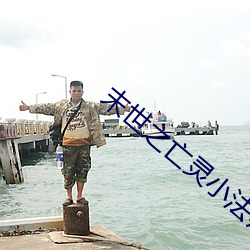 末世之亡灵小法师