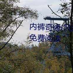内裤奇缘(风景画) 最新章节 全文免费阅读