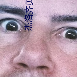 杰洛齐贝林的能力