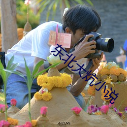 东北大炕小说