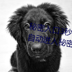 秘密入口3秒自動跳轉傳送門:三秒自動進入秘密入口的軟件